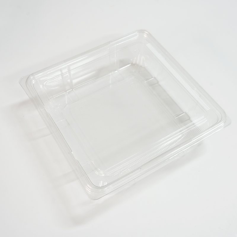 Transparent Square Vegetable Box With Lid factory