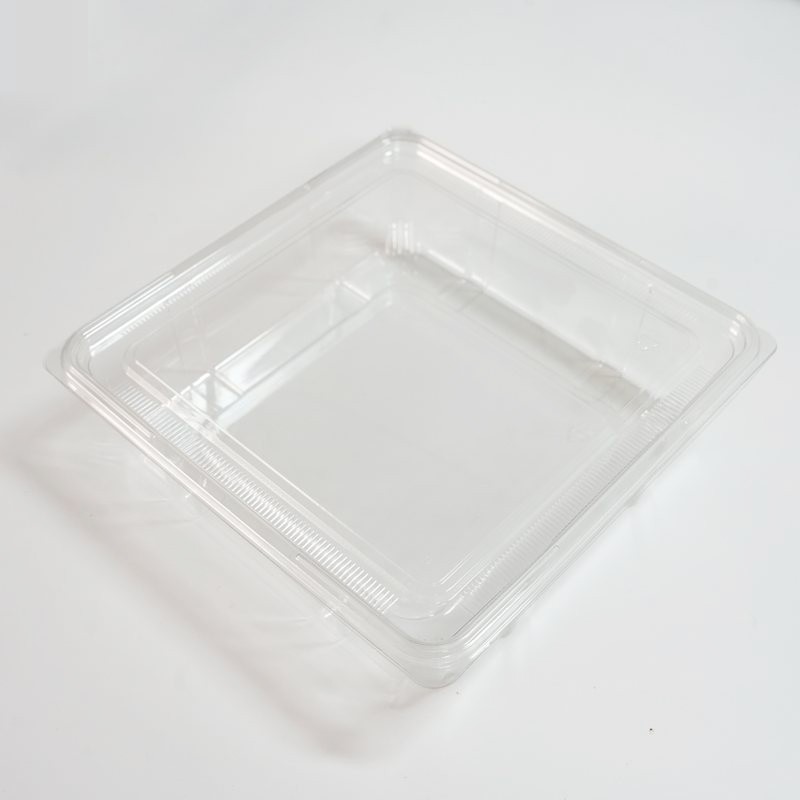 Transparent Square Vegetable Box With Lid best
